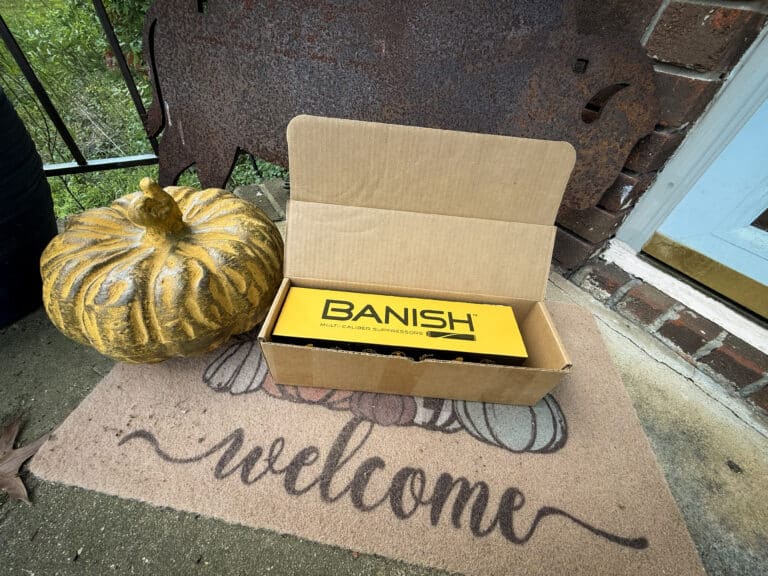 Orange pumpkin beside an open cardboard box holding a yellow Banish product on a brick porch with a decorative welcome mat.